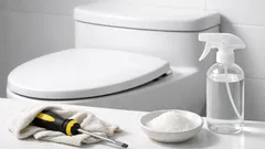 The hidden toilet seat spots that cause bathroom odors (and the simple fix)