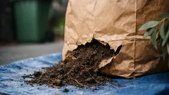 How to dispose of garden soil in Australia without breaking council rules