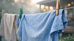 Why your laundry feels wetter in the morning when you hang it out overnight